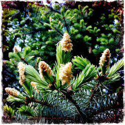 Фотограф Вениамин Чукалов