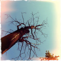 Фотограф Вениамин Чукалов