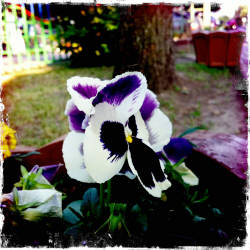 Фотограф Вениамин Чукалов