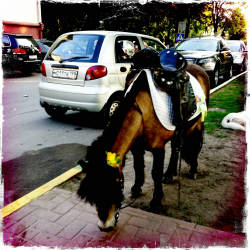 Фотограф Вениамин Чукалов