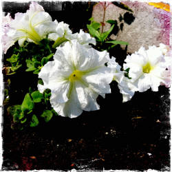 Фотограф Вениамин Чукалов