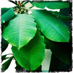 Фотограф Вениамин Чукалов