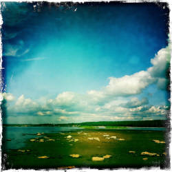 Кусочки уходящего лета (фотограф Вениамин Чукалов)