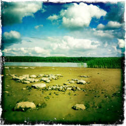 Кусочки уходящего лета (фотограф Вениамин Чукалов)