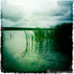 Кусочки уходящего лета (фотограф Вениамин Чукалов)