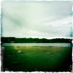 Кусочки уходящего лета (фотограф Вениамин Чукалов)