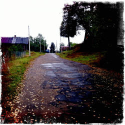 Кусочки уходящего лета (фотограф Вениамин Чукалов)