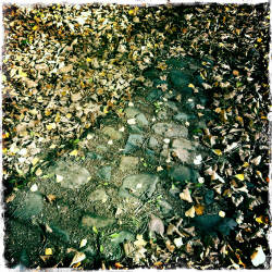 Фотограф Вениамин Чукалов