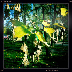 Кусочки октября в Москве (фотограф Вениамин Чукалов)
