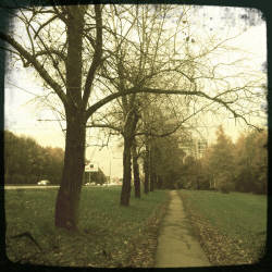 Кусочки октября в Москве (фотограф Вениамин Чукалов)