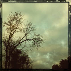 Кусочки октября в Москве (фотограф Вениамин Чукалов)