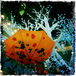 Фотограф Вениамин Чукалов