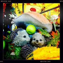 Фотограф Вениамин Чукалов