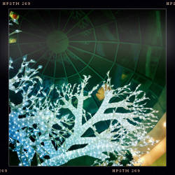 Фотограф Вениамин Чукалов