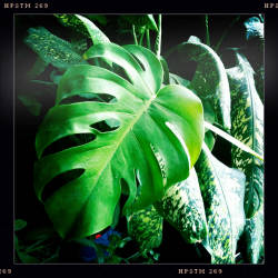 Кусочки октября в Москве, продолжение (фотограф Вениамин Чукалов)