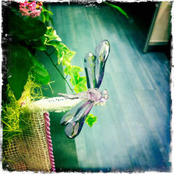 Кусочки октября в Москве, продолжение (фотограф Вениамин Чукалов)