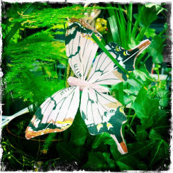 Кусочки октября в Москве, продолжение (фотограф Вениамин Чукалов)