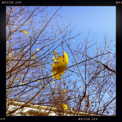 Фотограф Вениамин Чукалов