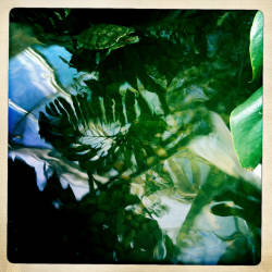 Фотограф Вениамин Чукалов