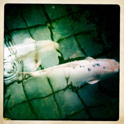 Фотограф Вениамин Чукалов