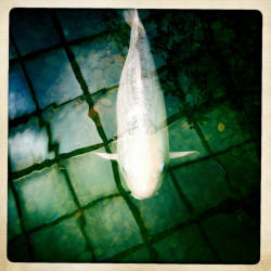 Фотограф Вениамин Чукалов