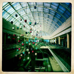 Фотограф Вениамин Чукалов