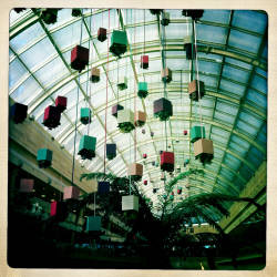 Фотограф Вениамин Чукалов