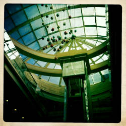 Фотограф Вениамин Чукалов