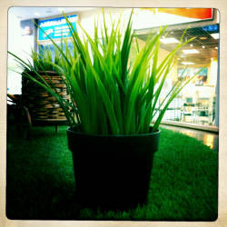 Фотограф Вениамин Чукалов