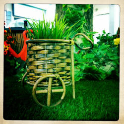 Фотограф Вениамин Чукалов