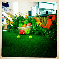 Фотограф Вениамин Чукалов