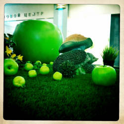 Фотограф Вениамин Чукалов