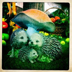 Фотограф Вениамин Чукалов