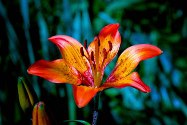 Фотограф Вениамин Чукалов