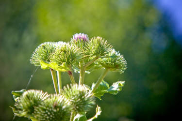 Фотограф Вениамин Чукалов