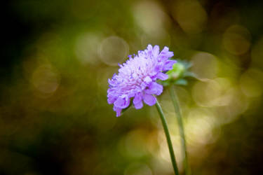 Фотограф Вениамин Чукалов