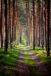 Фотограф Вениамин Чукалов