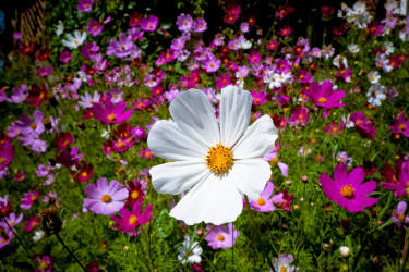 Фотограф Вениамин Чукалов