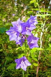 Фотограф Вениамин Чукалов