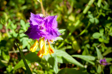 Фотограф Вениамин Чукалов