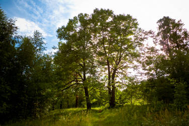 Фотограф Вениамин Чукалов