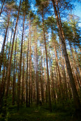 Фотограф Вениамин Чукалов