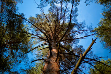 Фотограф Вениамин Чукалов