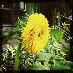 Фотограф Вениамин Чукалов