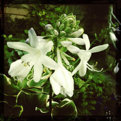 Фотограф Вениамин Чукалов