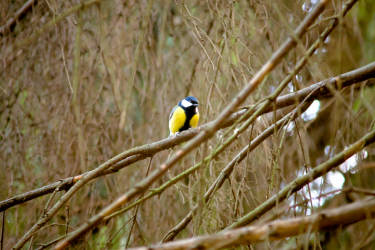 Фотограф Вениамин Чукалов
