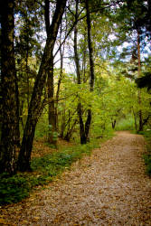 Фотограф Вениамин Чукалов