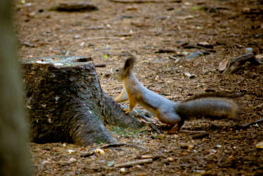 Фотограф Вениамин Чукалов