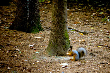 Фотограф Вениамин Чукалов