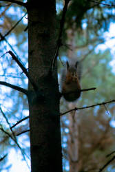 Фотограф Вениамин Чукалов